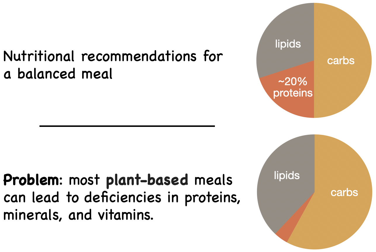 Illustration showing the nutritional challenges of vegetarian diets